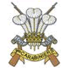 3rd  Carabiniers (Prince of Wales's Dragoon Guards)